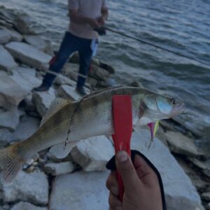 IMG_20251215_011837_481